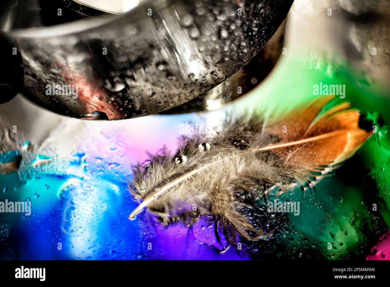 Concept with fork bird on fantasy background Stock Photo Alamy