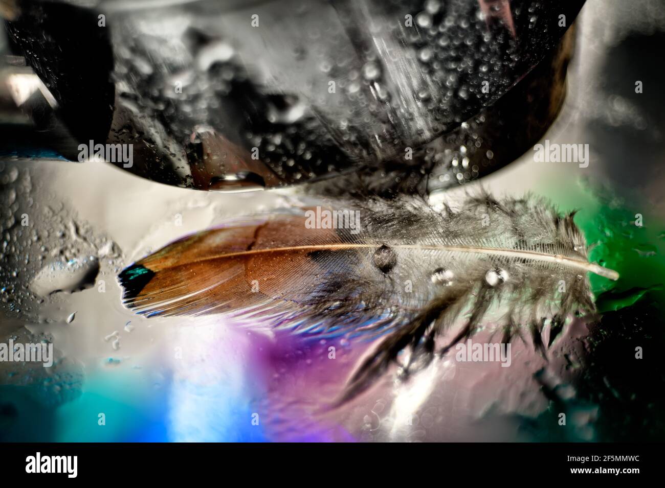 Concept with fork bird on fantasy background Stock Photo Alamy