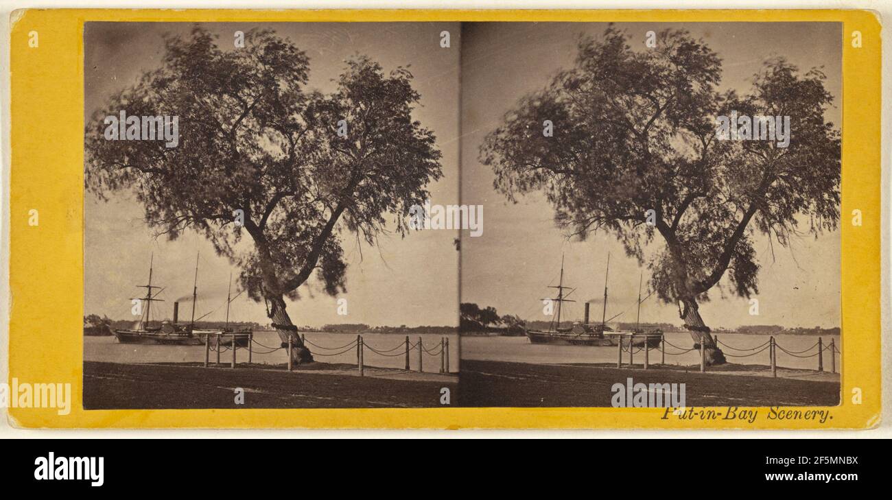 Willow Tree. Planted by Com. Perry and other survivors of the battle of Lake Erie, to mark the burial place of the slain.. H. Benedict (American, active Ohio, 1870s) Stock Photo