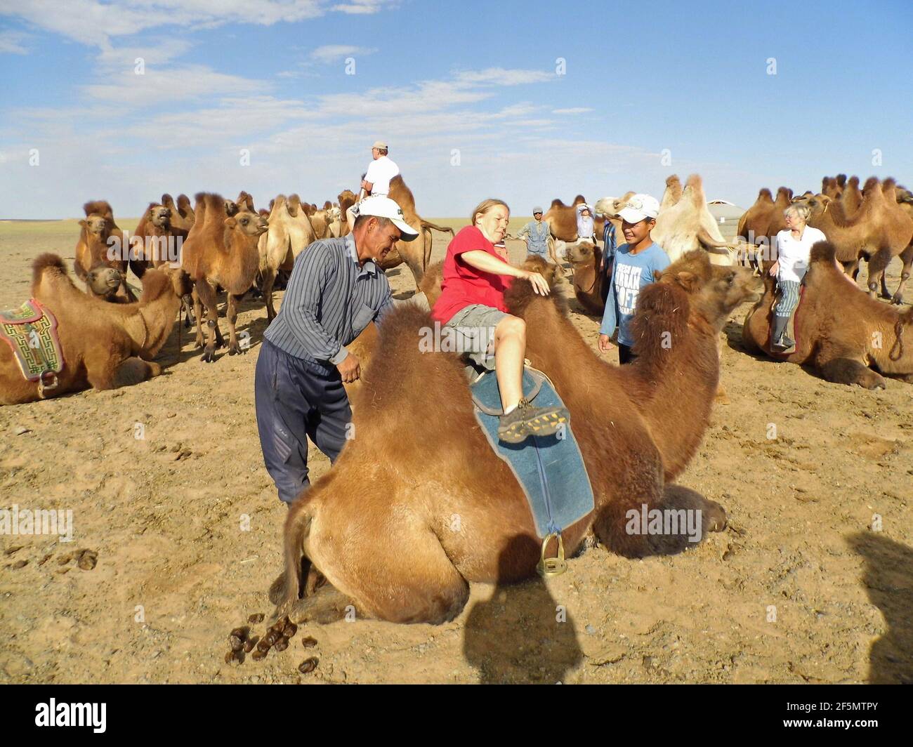 Kamelritt in der Wüste Gobi, Mongolei | camel ride at the Gobi desert, Mongolia Stock Photo