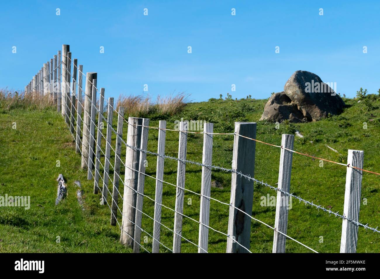 Farm fence, Glenburn, Wairarapa, North Island, New Zealand Stock Photo Alamy