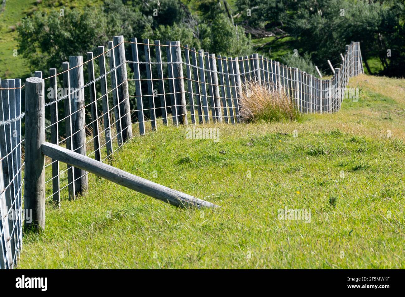 Farm fence, Glenburn, Wairarapa, North Island, New Zealand Stock Photo Alamy