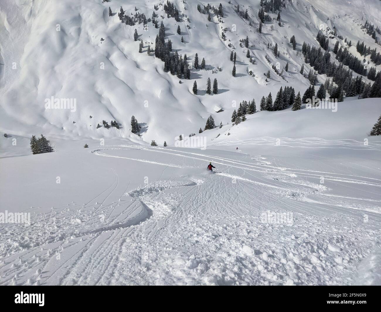 skier draws his own track through the powder snow. Freeride in the mountains of glarus on the silbern. mountaineering Stock Photo