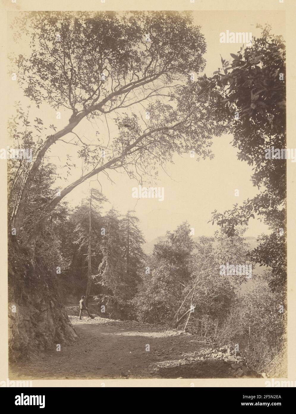 Active california 1880s hi-res stock photography and images - Alamy