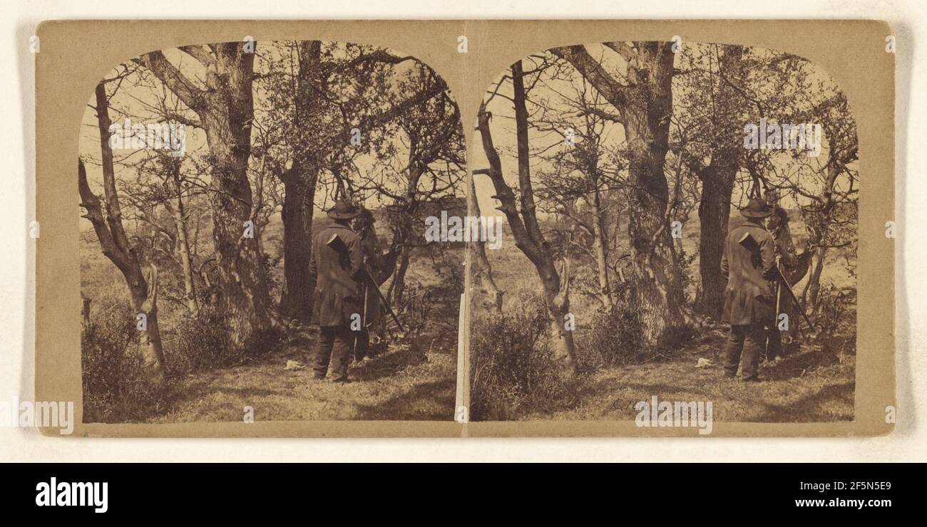 Forest scene: two men standing, talking, one carrying a shotgun ...