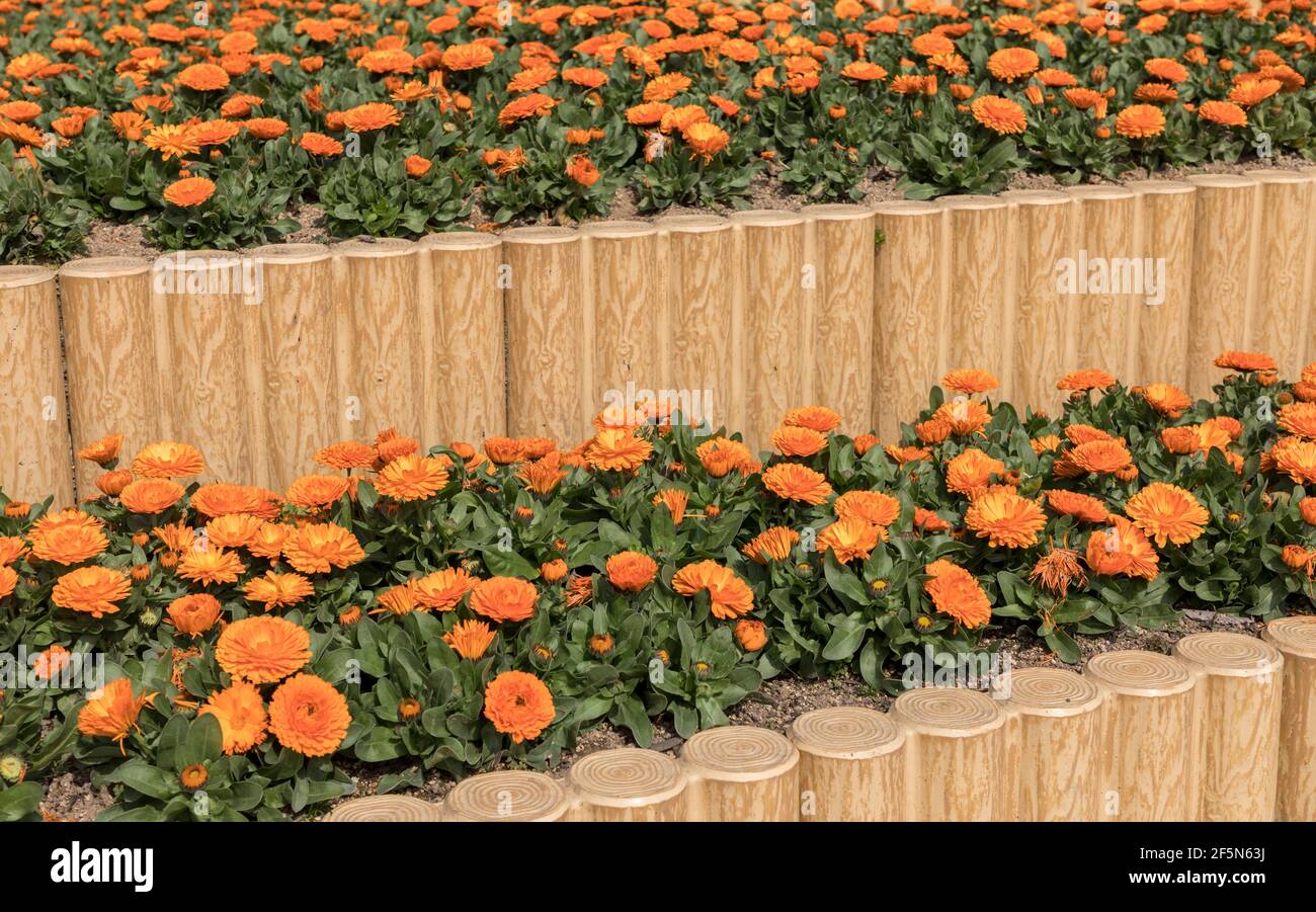 Plastic wood used to make raised flower beds, Tokiwa Park, Ube city, Yamaguchi, Japan Stock Photo