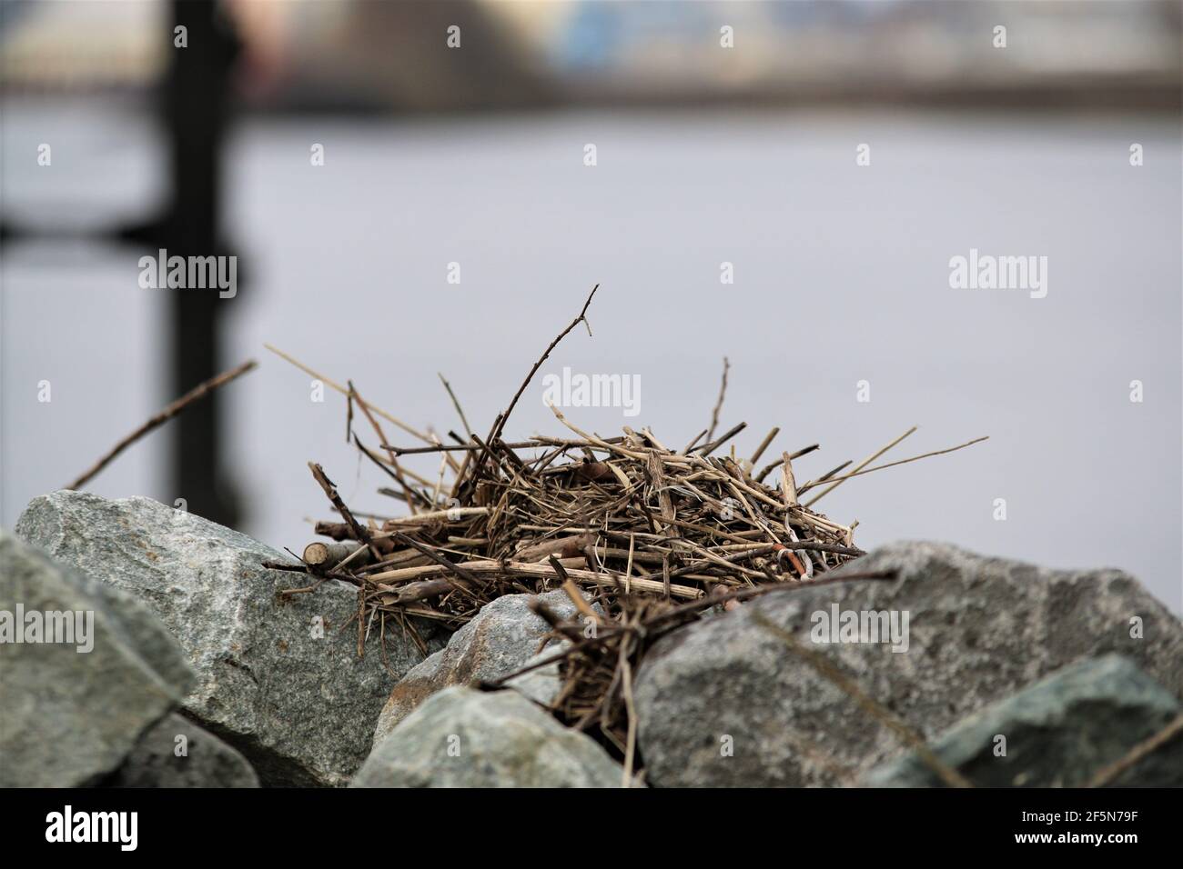 Close up of a stone pier in a harbor basin Stock Photo