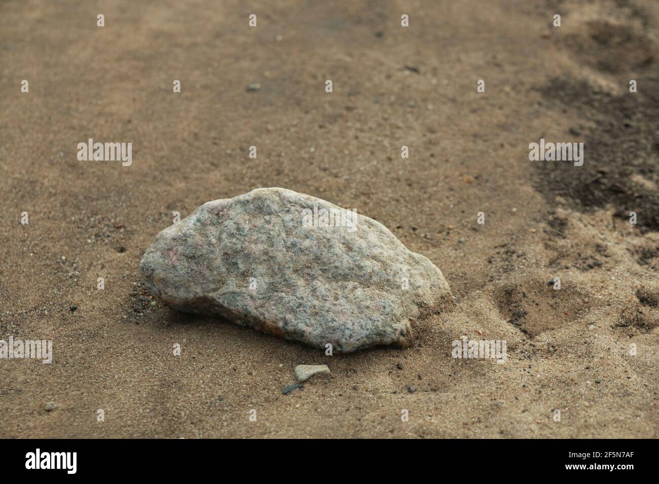 Close up of a stone on a sandy beach Stock Photo
