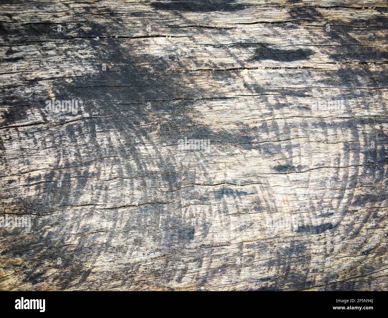 Beautiful wooden pattern background for work and design Stock Photo - Alamy
