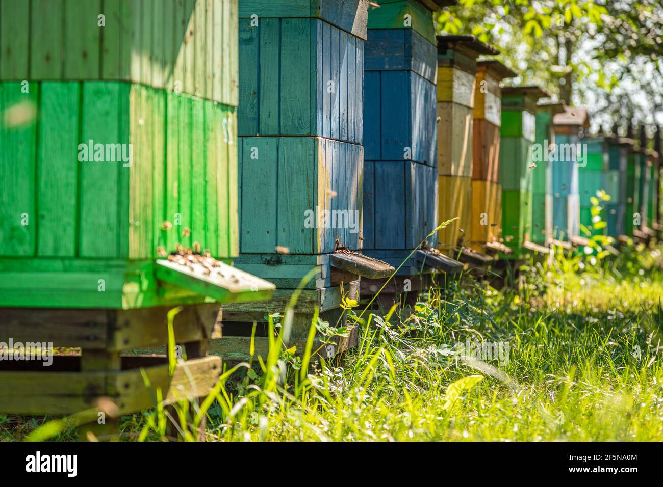 Handcraft beehives in a small village. Natural and ecological