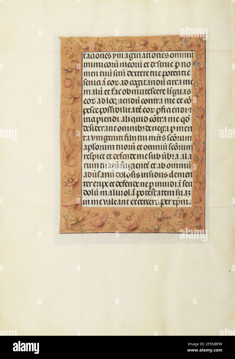 Medieval text layout hi-res stock photography and images - Alamy