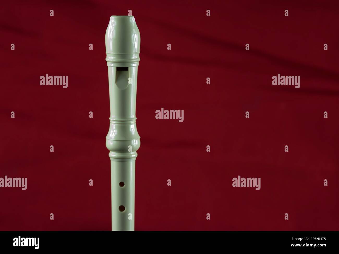 Recorder musical instrument isolated against a mottled red background