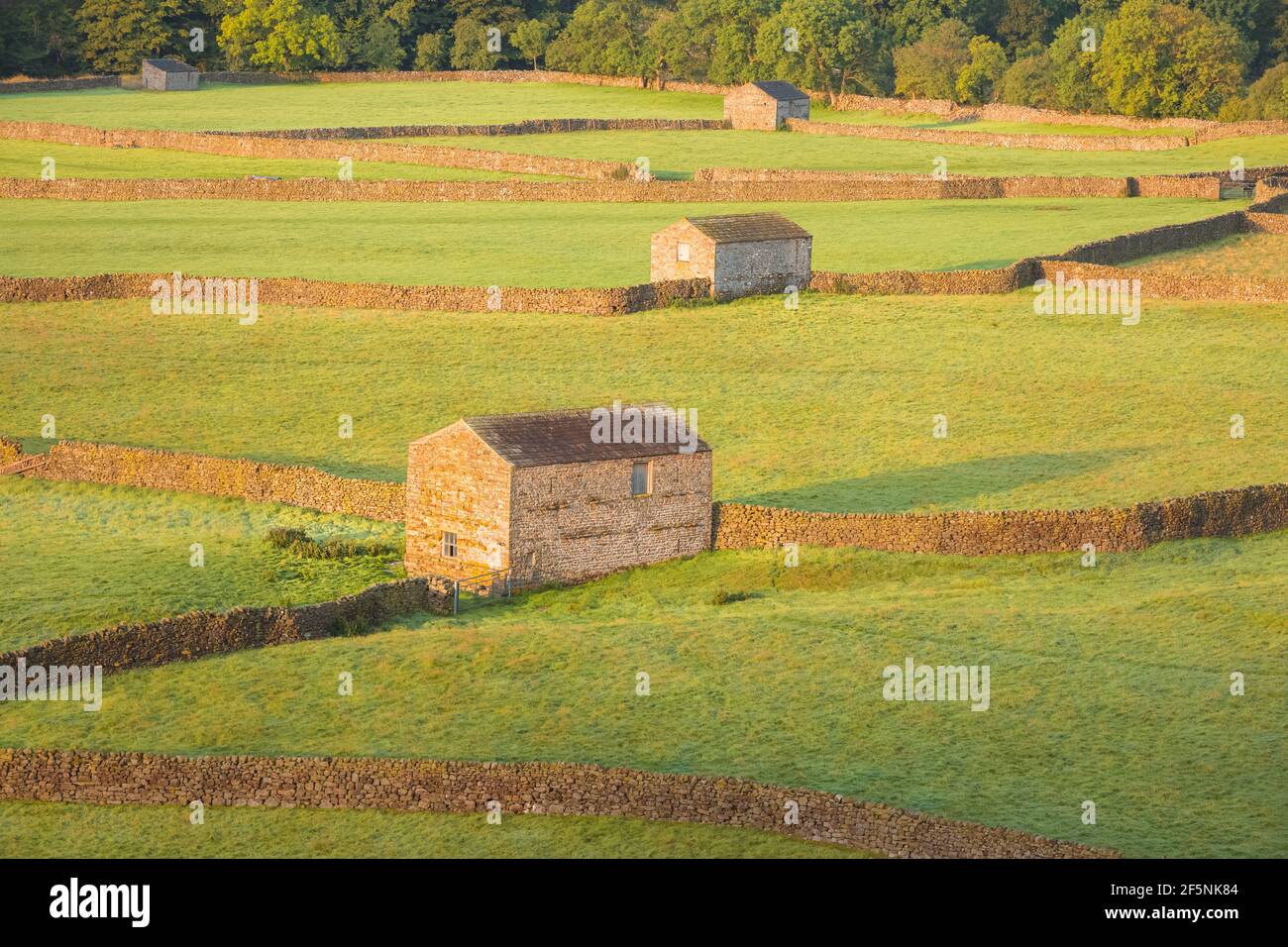 Golden light on old stone barns, stone walls at the village of Gunnerside in the rural English countryside pastoral landscape of the Yorkshire Dales N Stock Photo