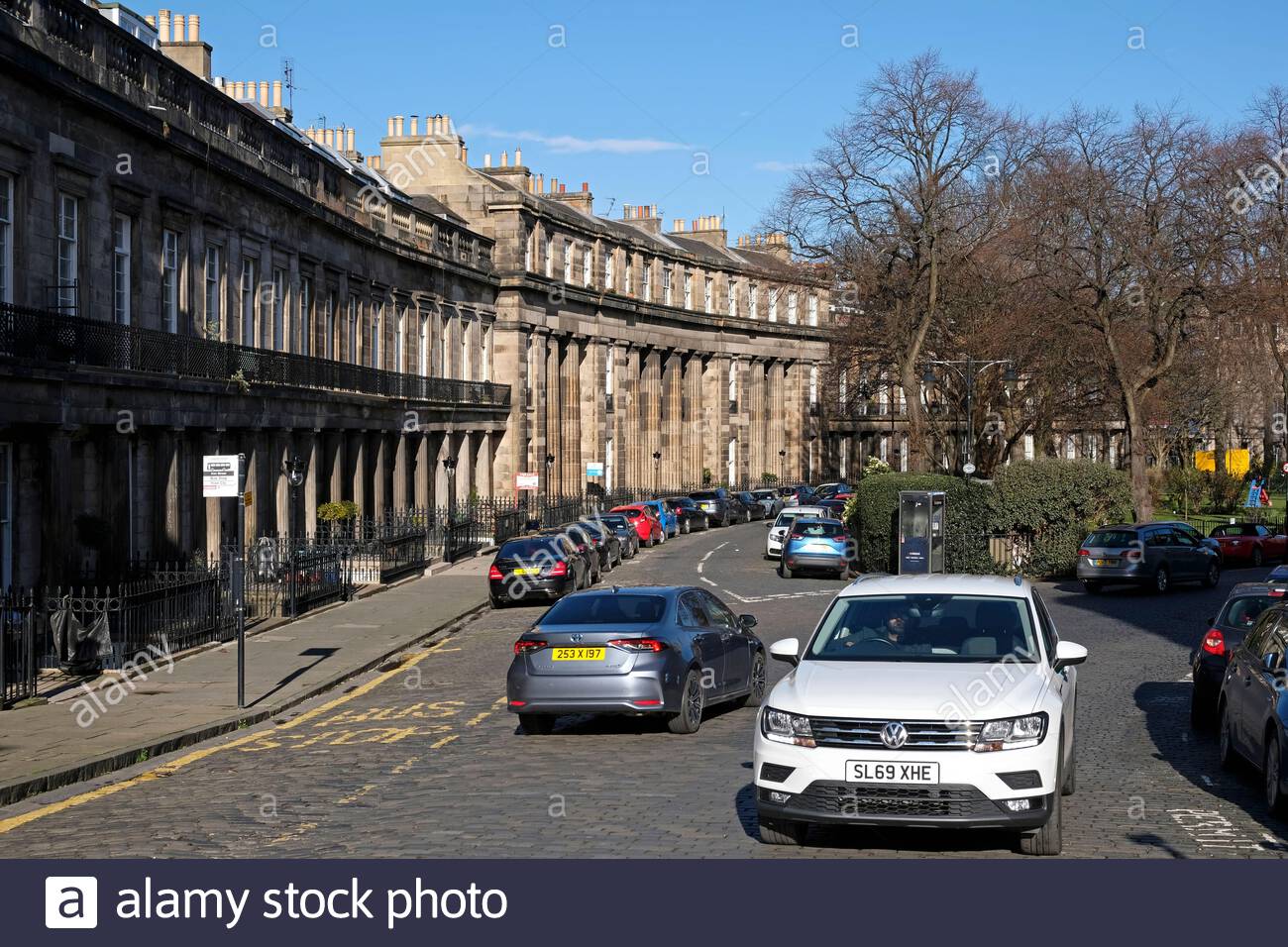 St bernards hires stock photography and images Alamy