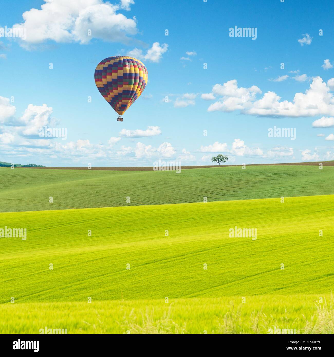 Hot air balloon flying over beautiful green fields Stock Photo - Alamy