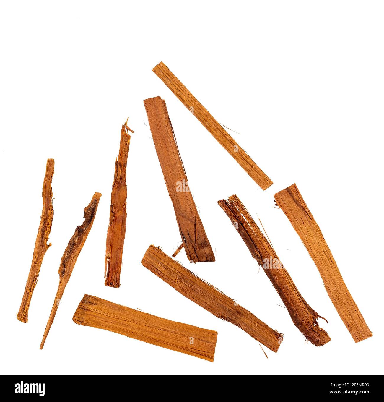 Cat's claw with medicinal properties Uncaria tomentosa Stock Photo Alamy