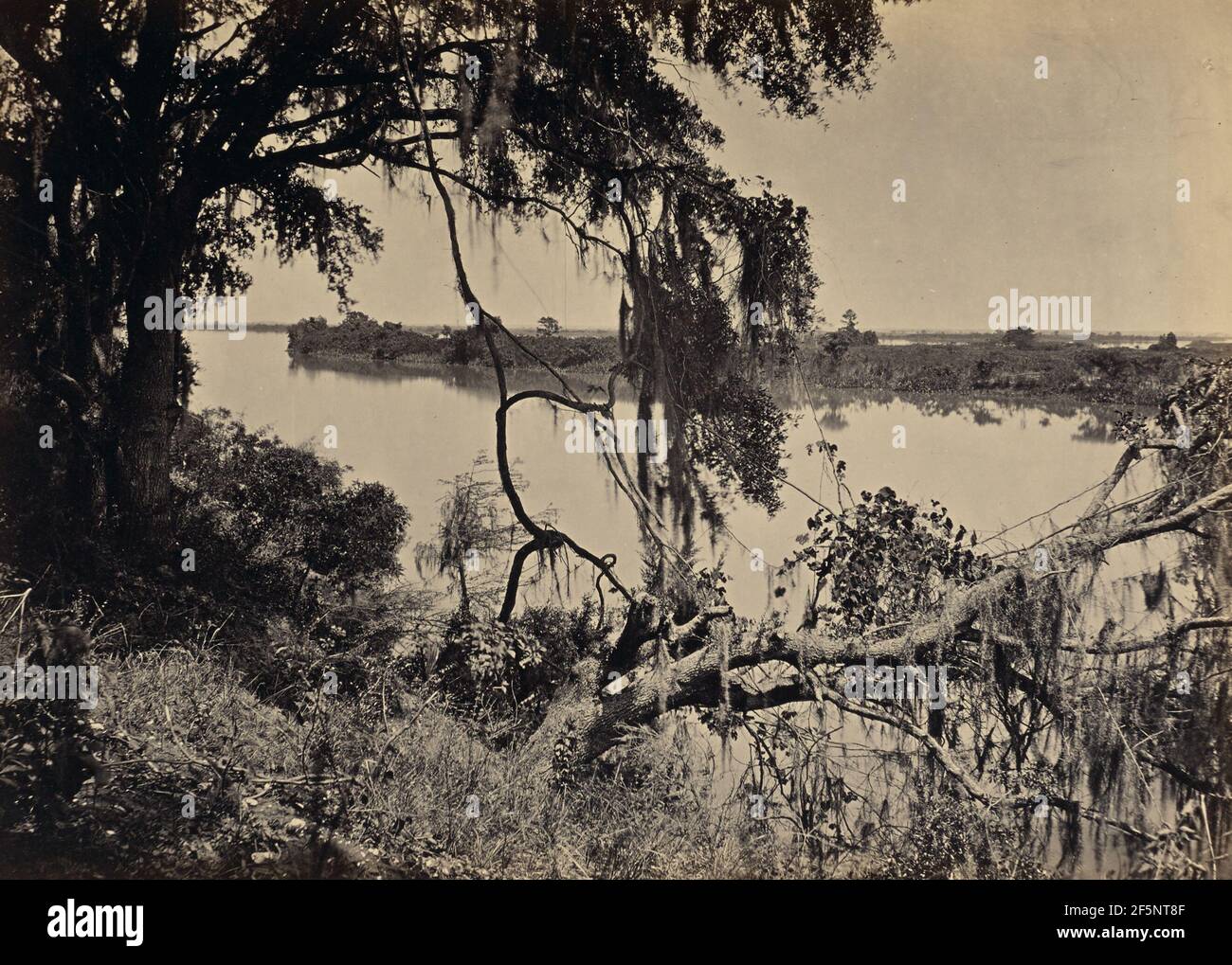 Savannah River, Near Savannah Georgia. George N. Barnard (American ...