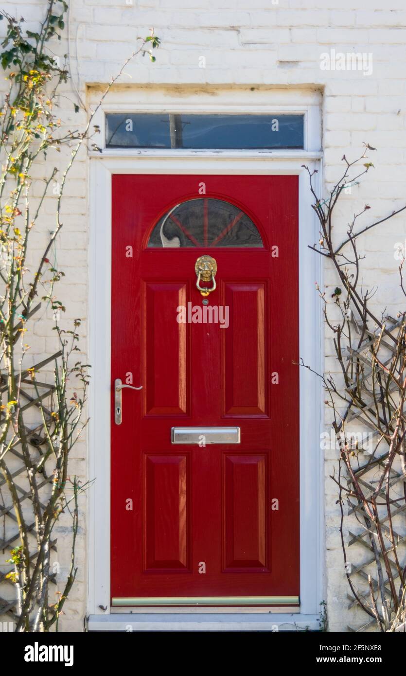 Wallingford, UK 23 Feb 2021: White house wall with beautiful deep red door  and rose plants around, door with little window on top and golden knocker  Stock Photo - Alamy