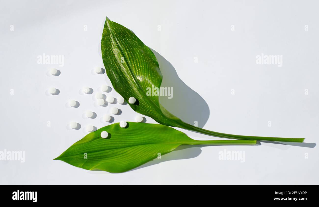 Two green large sheets and white round tablets. Flower from pills on a white background. Stock Photo