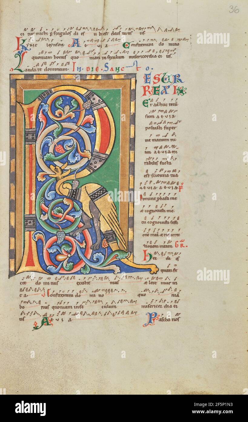 Mid Evil Letter R Medieval letter r hi-res stock photography and images - Alamy