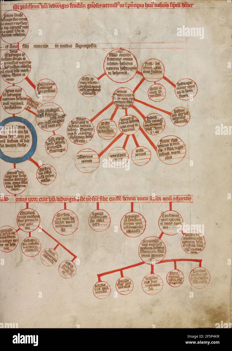 Art of genealogy hi-res stock photography and images - Alamy
