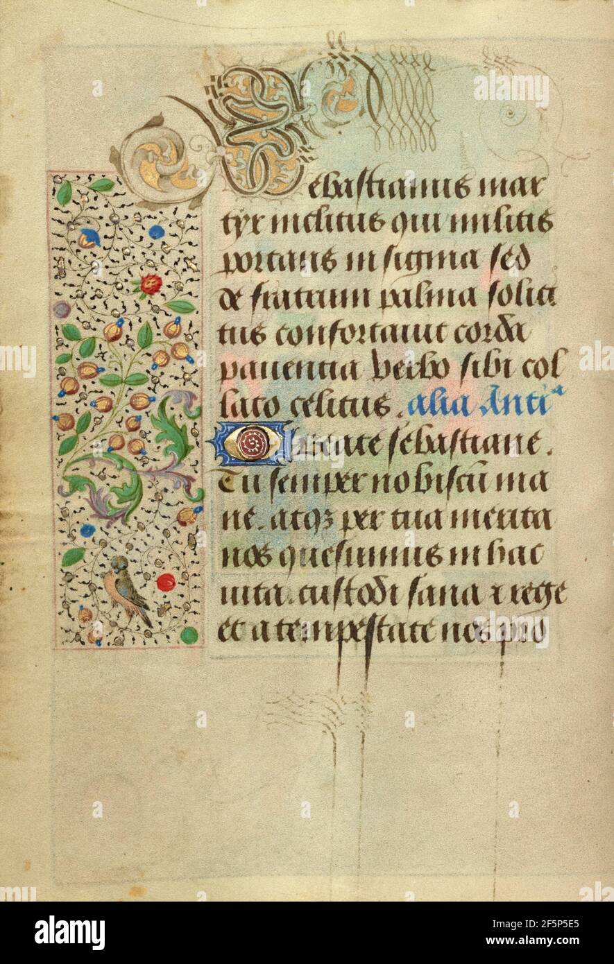 Calligraphers active hi-res stock photography and images - Alamy