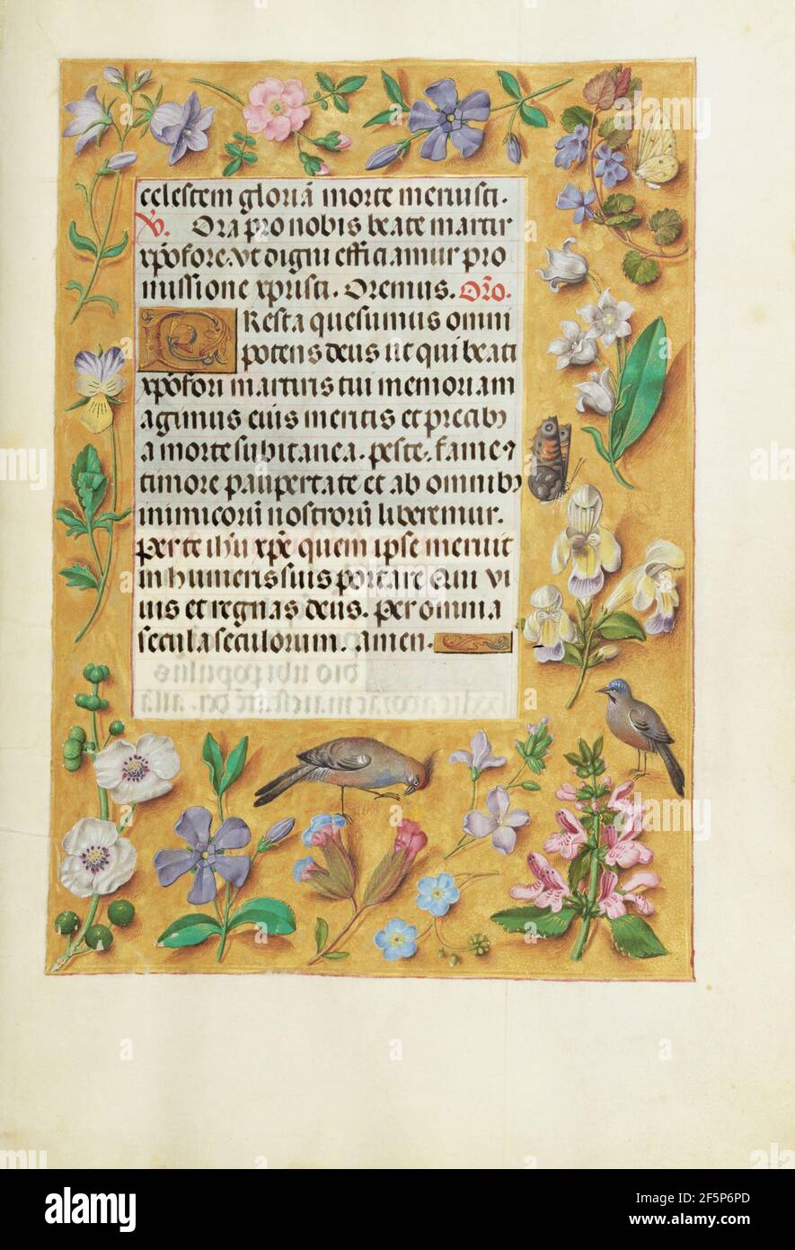 Historical manuscript borders hi-res stock photography and images - Alamy