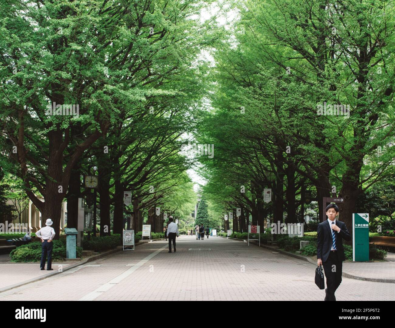 Shibuya, Tokyo, Japan - Aoyama Gakuin University, a private university located in downtown of Tokyo. Beautiful campus filled with leafy trees. Stock Photo