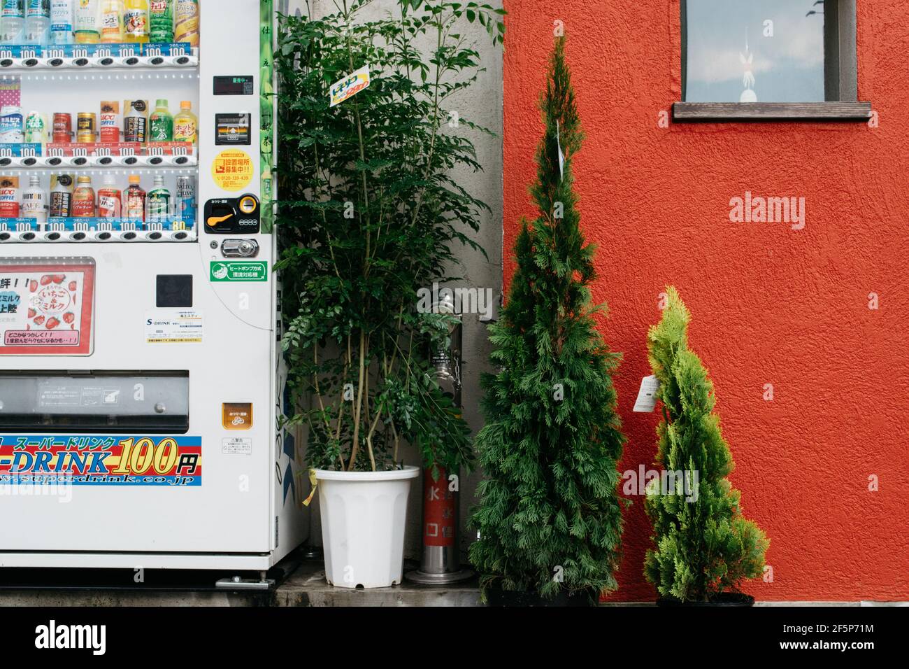 Tokyo, Japan - Japanese drink vending machine and plants against a background of the red wall. Stock Photo