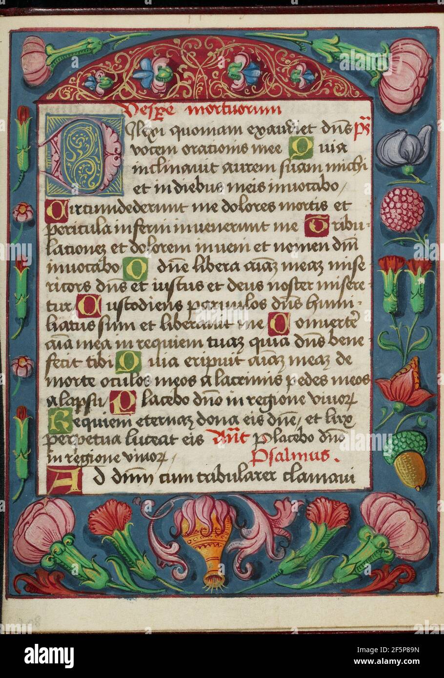 Historical manuscript borders hi-res stock photography and images - Alamy