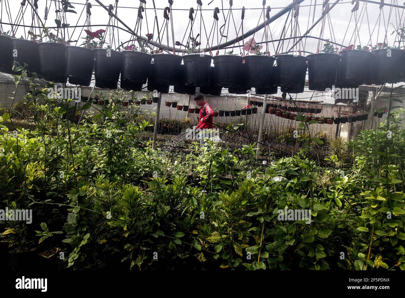 Gaza City, The Gaza Strip, Palestine. 1st Mar, 2021. A Palestinian