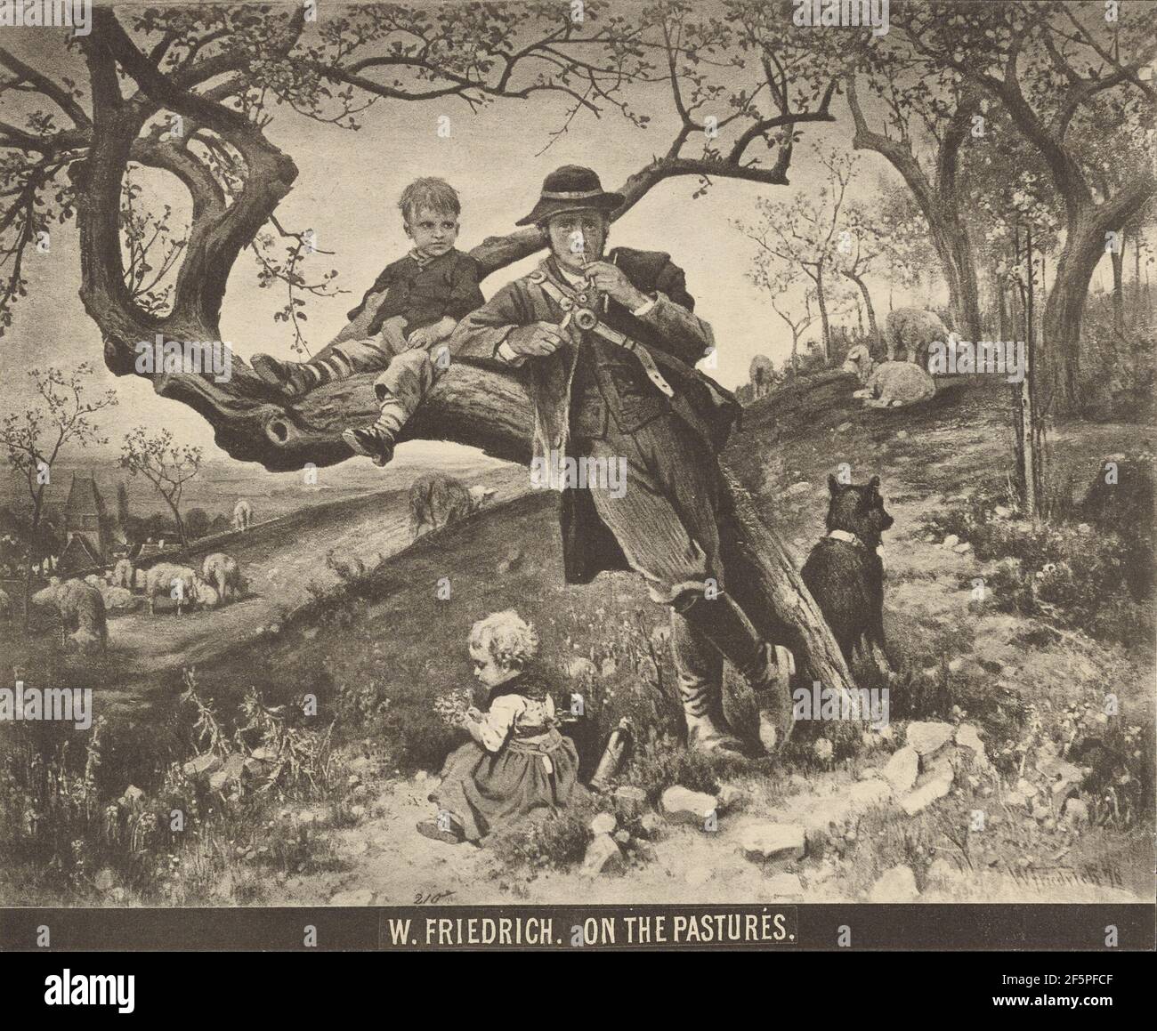 W. Friedrich - On the Pastures. Unknown Stock Photo