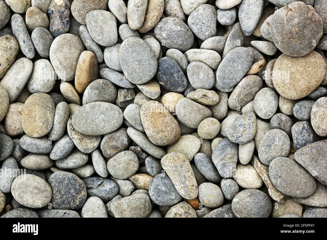 Smooth stones found on the beach. Stock Photo