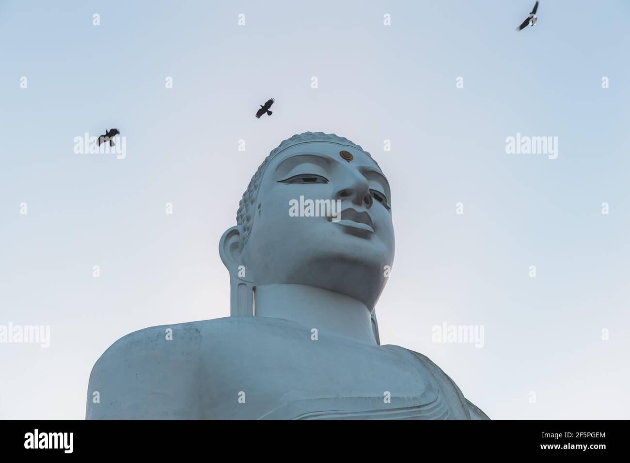 Close-up of the giant white Buddha statue at Sri Maha Bodhi Viharaya, a Buddhist temple at Bahirawakanda at sunset or sunrise in Kandy, Sri Lanka. Stock Photo