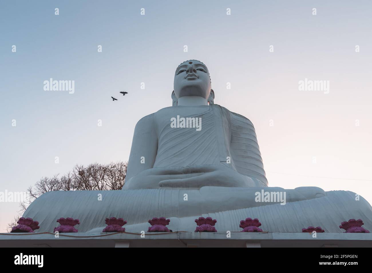 Giant white Buddha statue at Sri Maha Bodhi Viharaya, a Buddhist temple at Bahirawakanda at sunset or sunrise in Kandy, Sri Lanka. Stock Photo