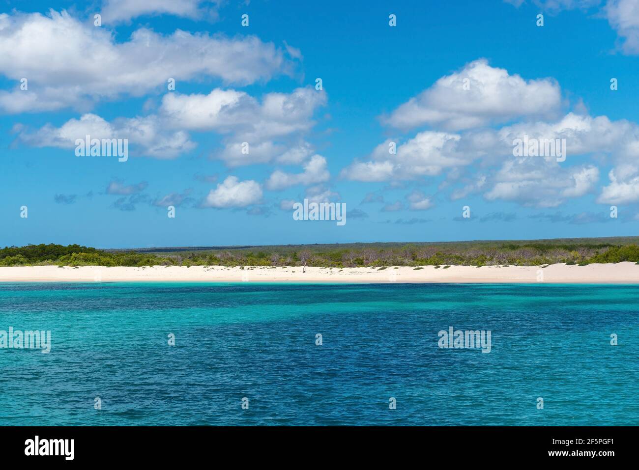 Coral reef in front of Seymour North Island beach for snorkeling, Galapagos islands national park, Ecuador. Stock Photo
