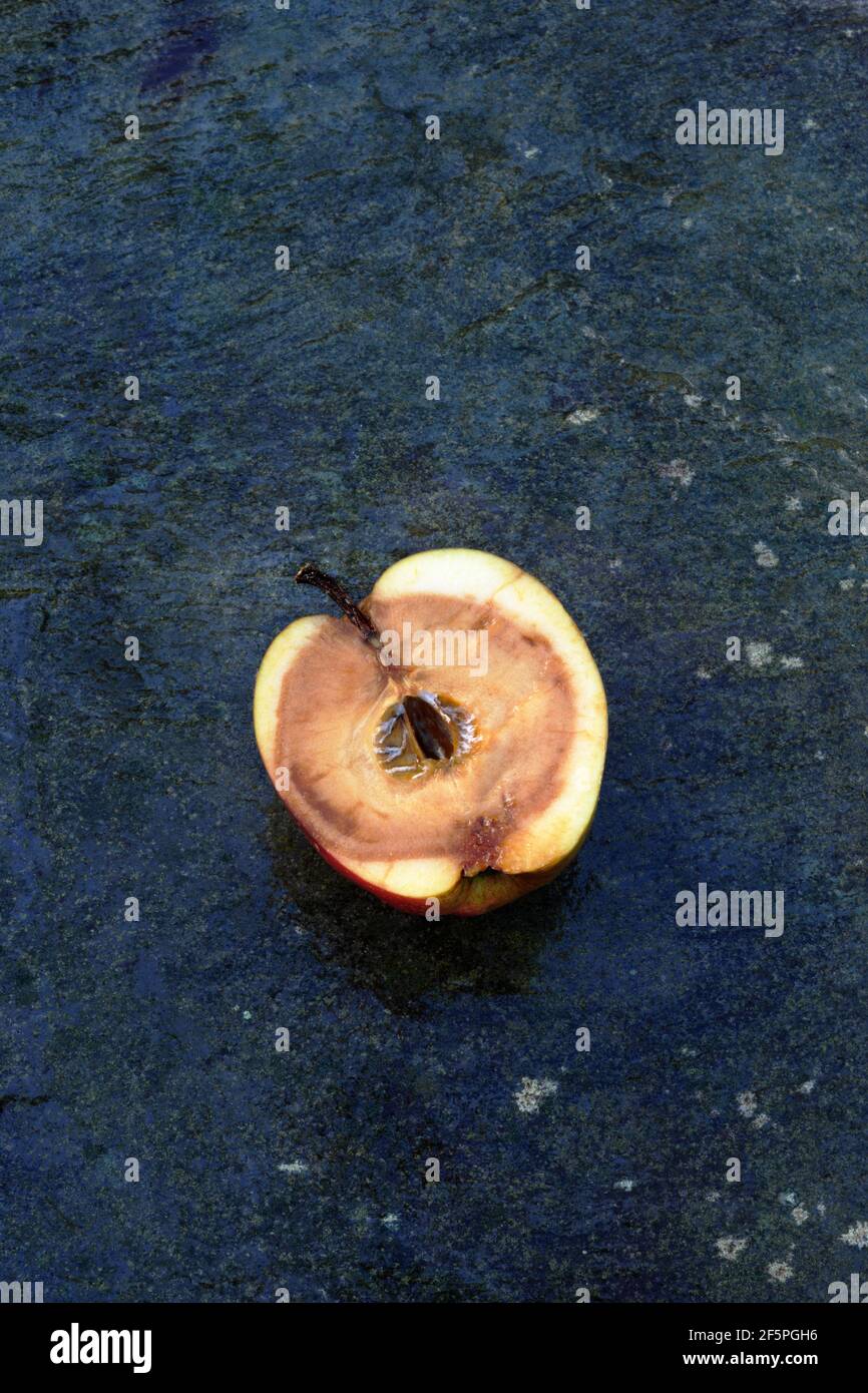 half rotten apple on slate Stock Photo