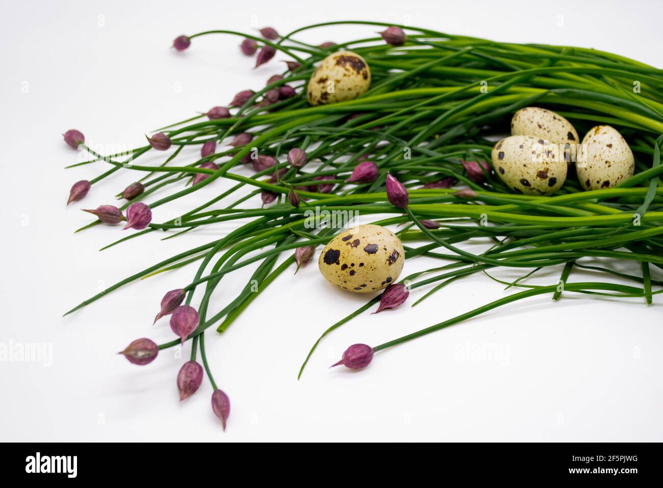 Fresh green onion sprouts with pink buds, among which are quail eggs. The concept of organic Easter. Copy space. Stock Photo