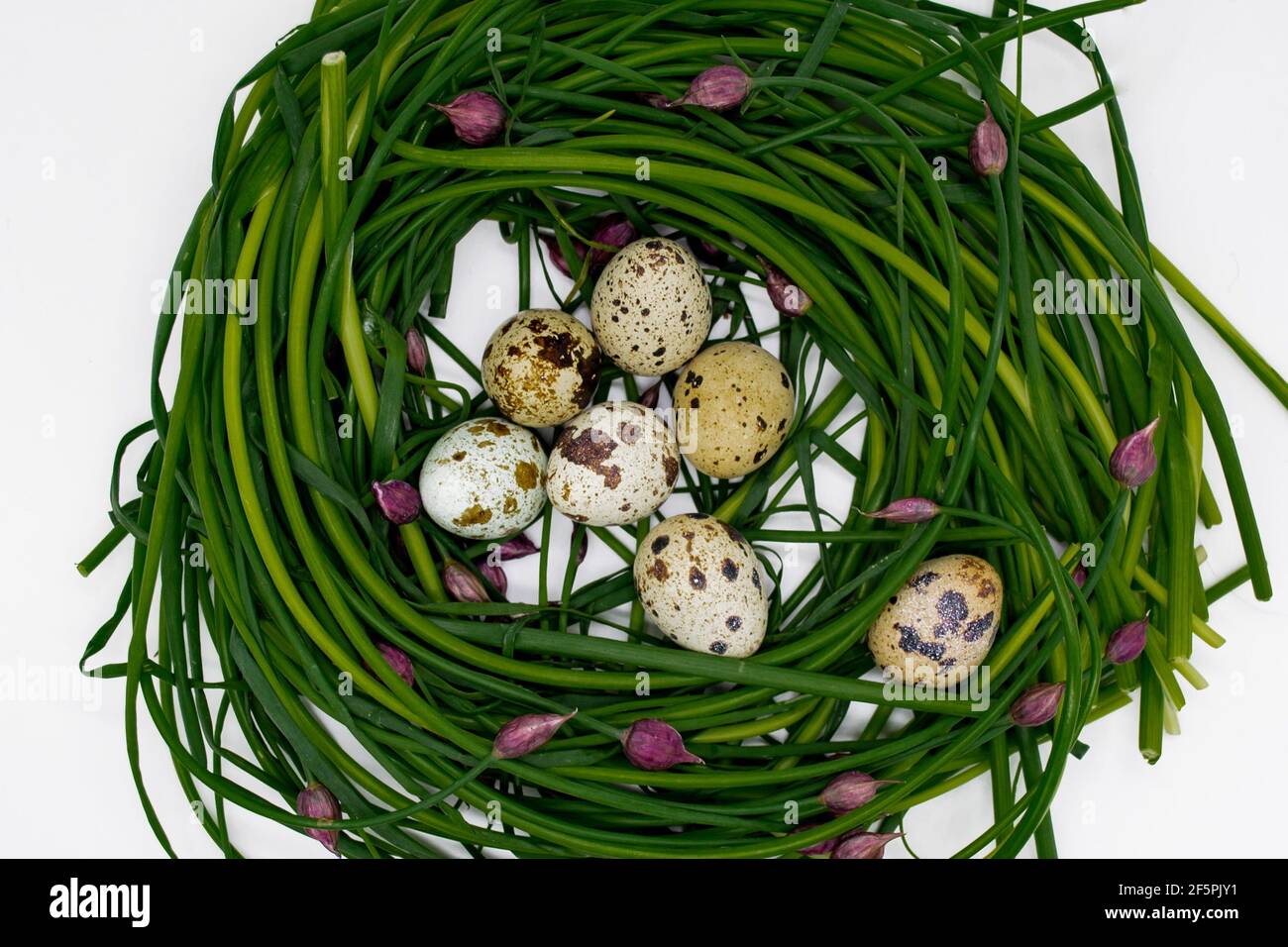 Green onions with pink buds are laid out in the form of a nest, in which quail eggs lie. Organic Easter Concept. Stock Photo