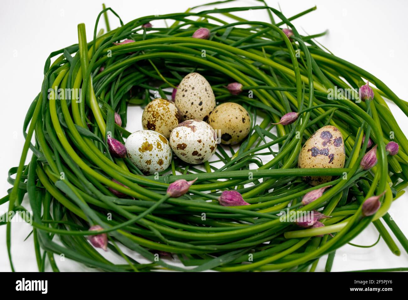 Green onions with pink buds are laid out in the form of a nest, in which quail eggs lie. Organic Easter Concept. Stock Photo