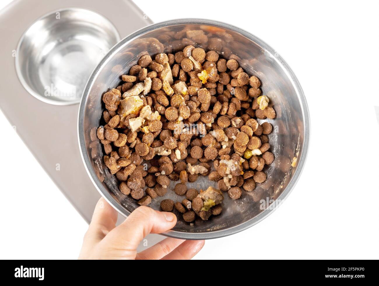 Dog food in bowl for large adult dog. Kibbles mixed with wet food for a picky eater. A hand is holding pet dish on top of a elevated dog feeding stati Stock Photo