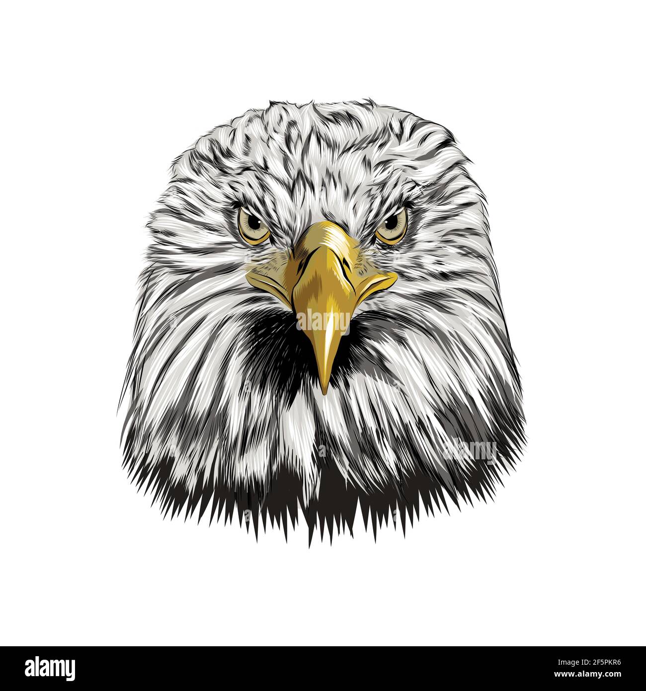 How To Sketch A Bald Eagle Step by Step Drawing Guide by makangeni   DragoArt