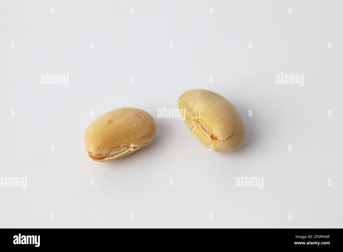parched soy beans isolated on white background Stock Photo