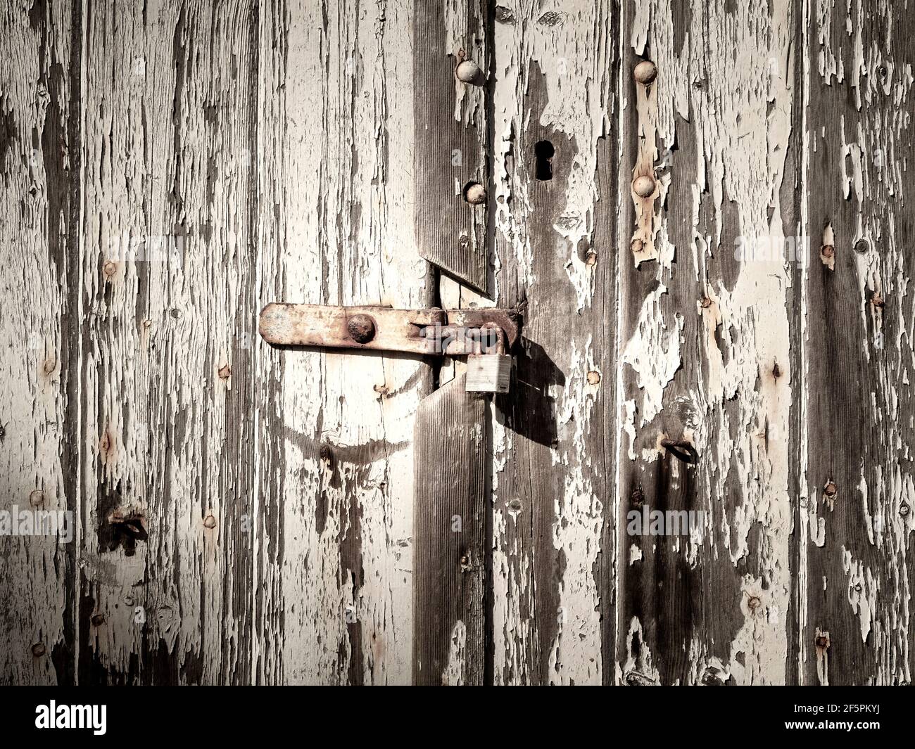 A section of a dilapidated shed door with heavily flaking paint and a rusting padlock and hasp Stock Photo