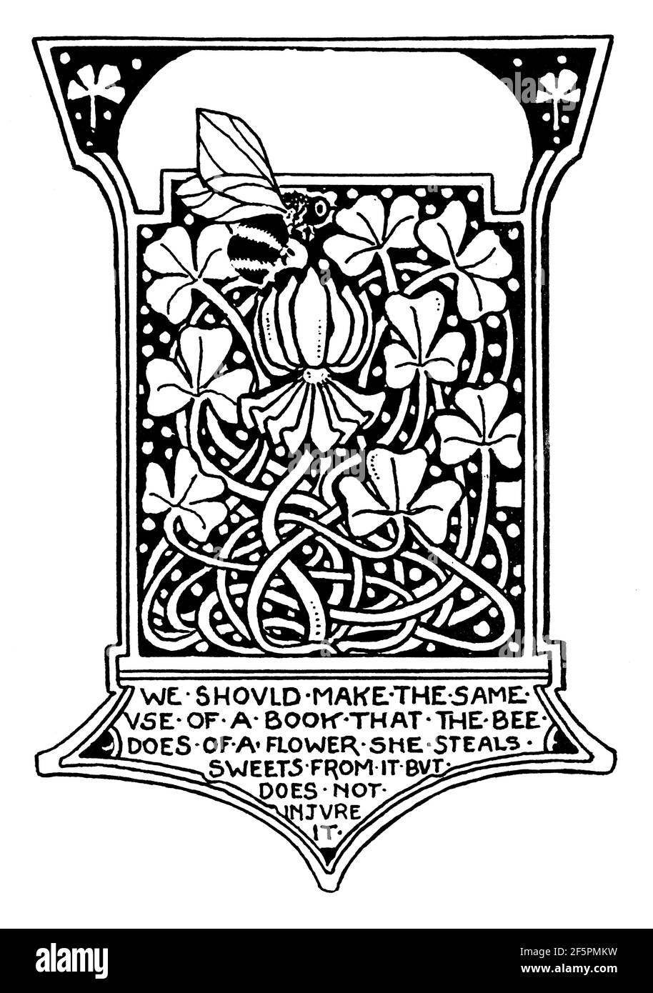 Art Nouveau intertwined clover and bee bookplate design by children’s book illustrator Ethel Larcombe, of Exeter, from 1901 The Studio an Illustrated Stock Photo