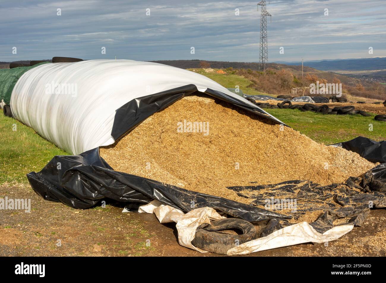 Silage stored in long plastic tube, Auvergne-Rhone-Alpes, France Stock Photo