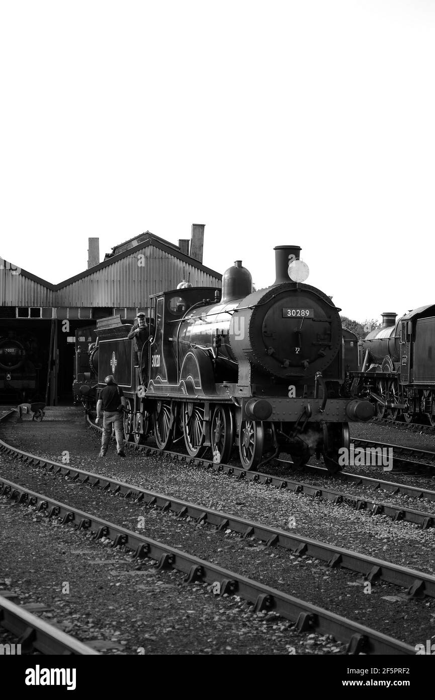 '30120' (running as '30289') on shed at Didcot. Stock Photo