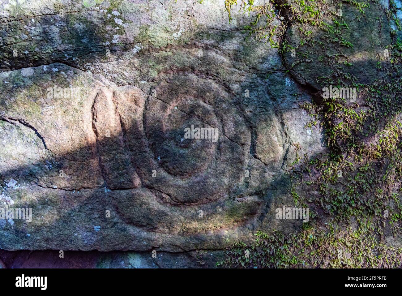 Stone engravements made by indigenous people at La Zarza cultural park, La Palma, Canary islands, Spain. Stock Photo