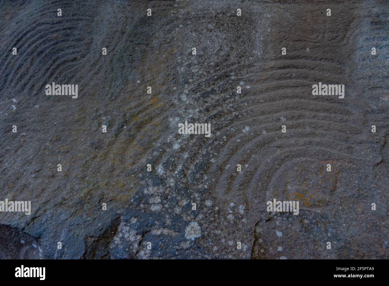 Stone engravements made by indigenous people at La Zarza cultural park, La Palma, Canary islands, Spain. Stock Photo