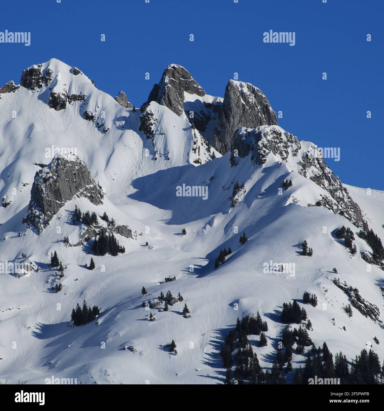 Gams switzerland hi-res stock photography and images - Alamy